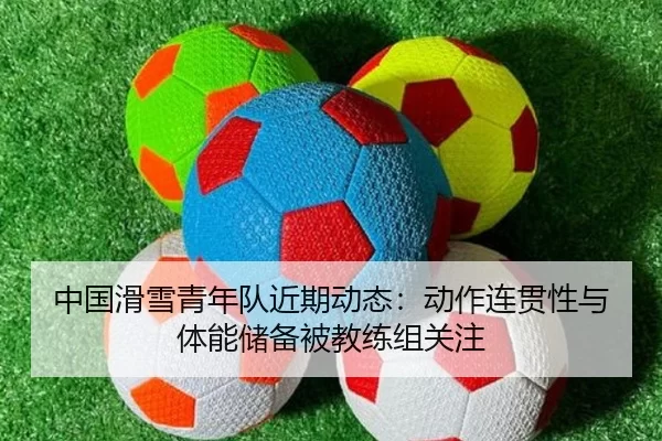 中国滑雪青年队近期动态：动作连贯性与体能储备被教练组关注